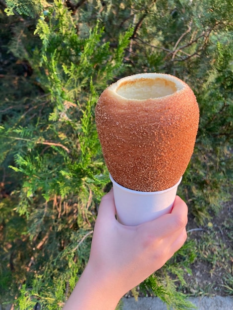 Przycięta dłoń trzymająca Trdelnik na ścieżce