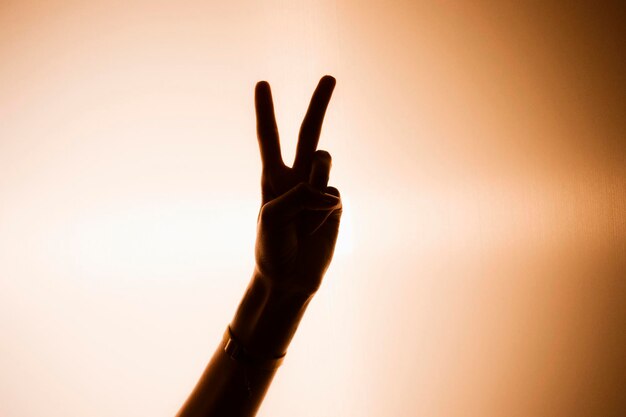 Przycięta ręka kobiety pokazująca znak pokoju na niebie podczas zachodu słońca