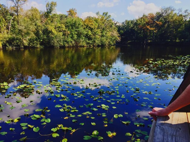 Przycięta Ręka Na Molo Nad Jeziorem