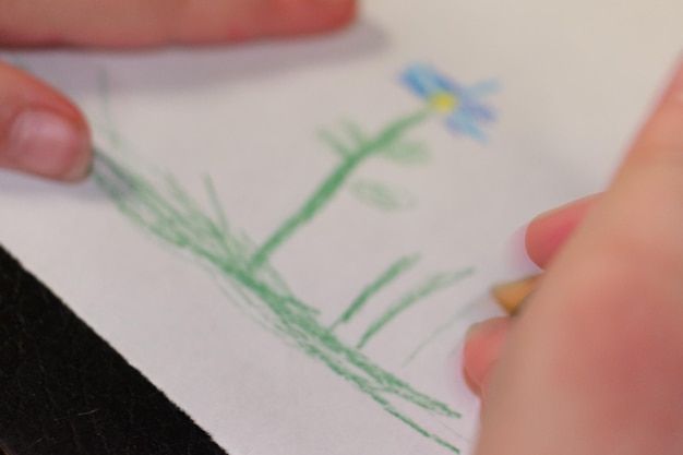 Przycięte ręce dziecka rysującego na papierze