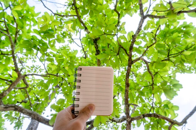 Przycięte ręce osoby trzymającej pamiętnik przy drzewach