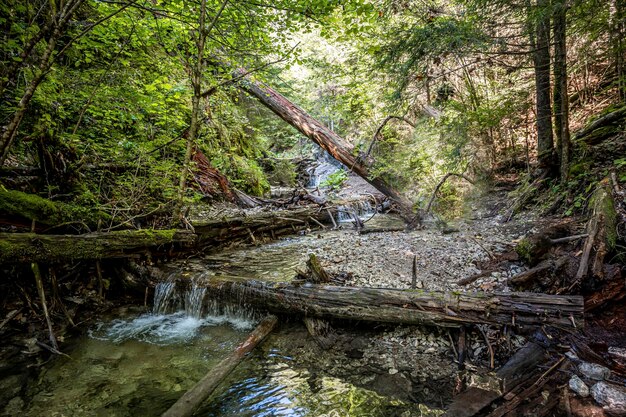 Przygodowy szlak turystyczny przez kanion w parku narodowym Słowacki raj Słowacja Via ferrata w kanionie Kysel Koncepcja podróży Discovery