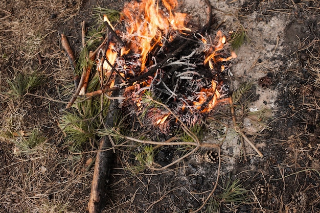 Zdjęcie przygotowanie ogniska turystyka natura koncepcja lasu. duch wędrówek.