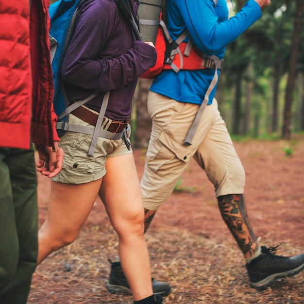 Przyjaciele Chodzi Rekonesansujący Outdoors pojęcie