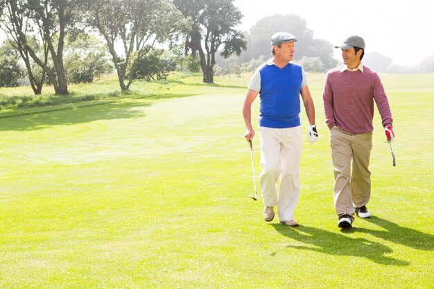 Przyjaciele golfa chodzenia i rozmowy