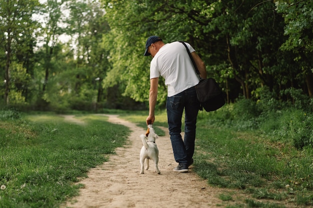 Przyjaźń człowieka i psa. Człowiek grać psy Jack Russell Terrier na łące.
