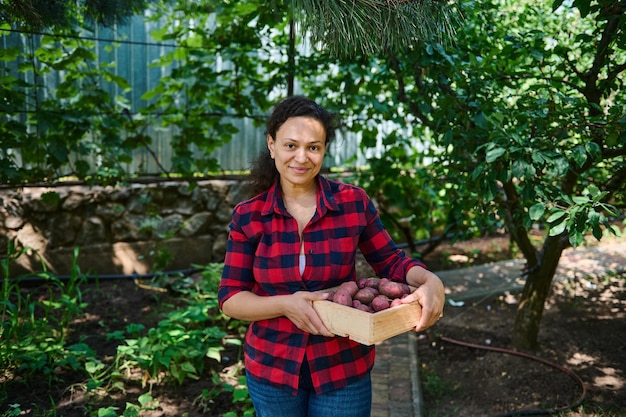 Przyjemna kobieta rolnik niosąca drewnianą skrzynię zebranych organicznych ziemniaków Ekologiczne rolnictwo Koncepcja dostawy warzyw