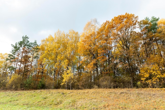 Przyroda jesienią