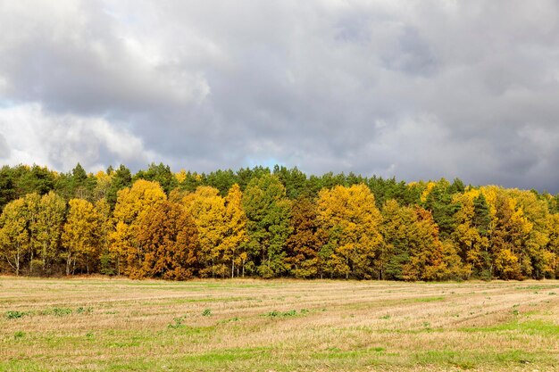 Przyroda jesienią