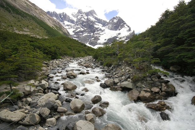 Przyroda na wędrówce Patagonia