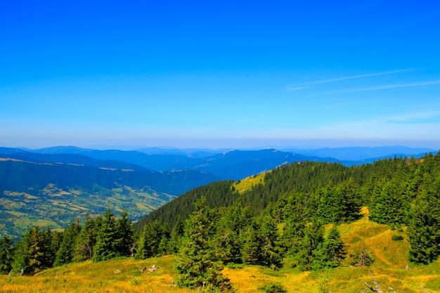 Przyroda W Górach, Piękne Krajobrazy, Piękna Górska Sceneria, Karpaty