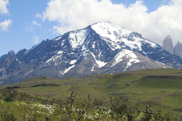 Przyroda w Patagonii Chile