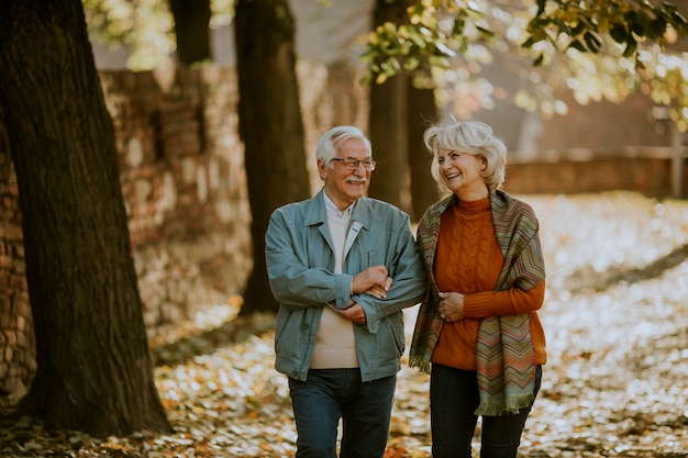 Przystojna starsza para spacerująca w jesiennym parku