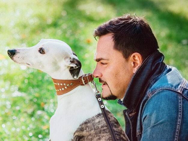 przystojny mężczyzna w dżinsowych ubraniach z psami rasy whippet outdoo