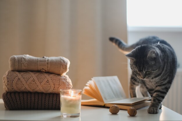 Przytulna domowa atmosfera i martwa natura z książką ze świeczkami dla kota i swetrami