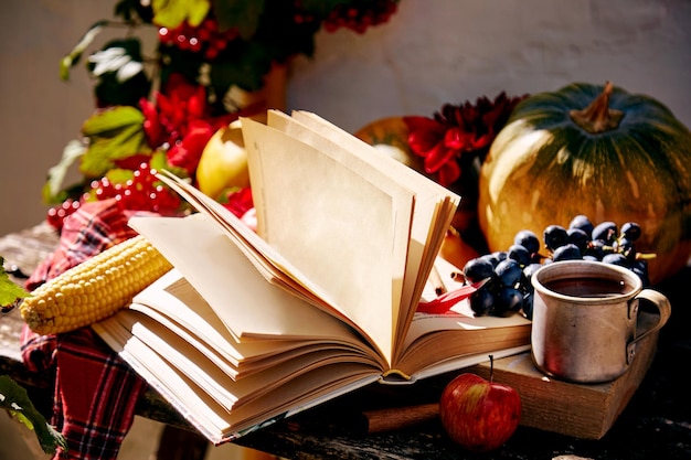 Przytulne jesienne tło otwarta książka makiety winogrona jabłka kalina dynia kukurydza kubek herbaty i cynamonu na drewnianym stole Koncepcja Święto Dziękczynienia Zewnętrzne mieszkanie leżało z modnymi cieniami