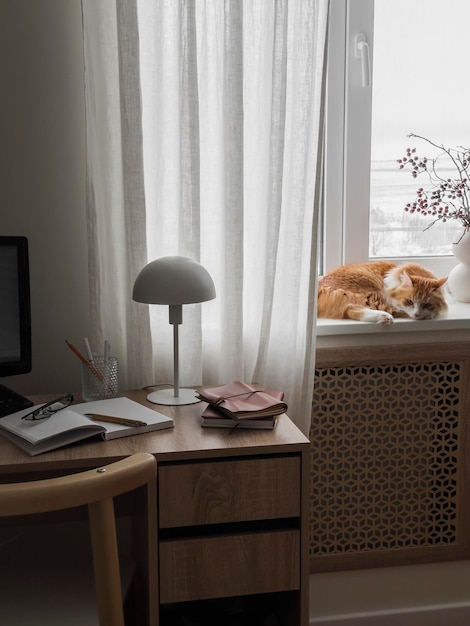Przytulne wnętrze biura domowego biurko z materiałami edukacyjnymi czerwony kot na oknie Przytulna koncepcja domu