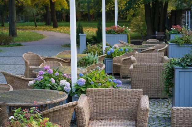 Przytulny taras kawiarni w jesiennym parku wygodne meble z wikliny na patio w restauracji ogrodowej w przyrodzie