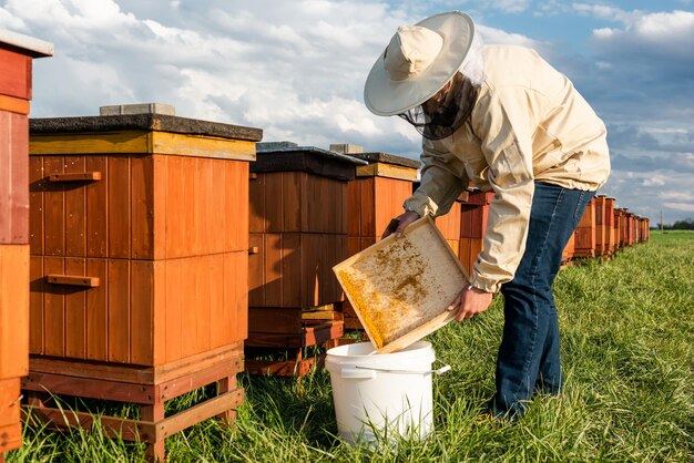 Pszczelarz lub pszczelarz zbierający pyłek z ula Zdrowa bio żywność i pszczelarstwo