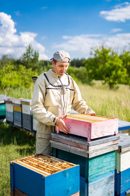 Pszczelarz na pasiece Pszczelarz pracuje z pszczołami i ulami na pasiece