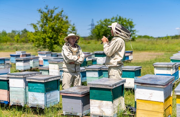 Zdjęcie pszczelarz pracujący w procesie hodowli pasieki o strukturze plastra miodu