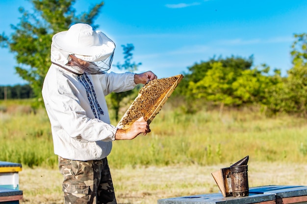 Pszczelarz pracuje z pszczołami i ulami na pasiece Pszczoły na plastrze miodu Ramki ula pszczelego