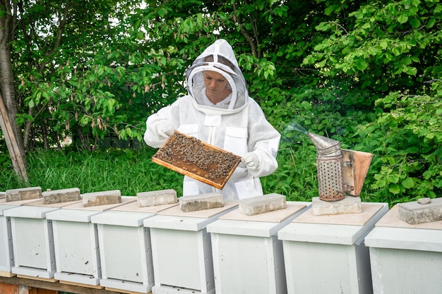 Pszczelarz sprawdza pszczoły w kombinezonie ochronnym