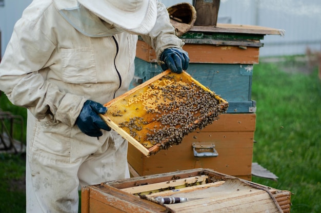 Zdjęcie pszczelarz w białym garniturze trzymający ramkę z plastrami miodu