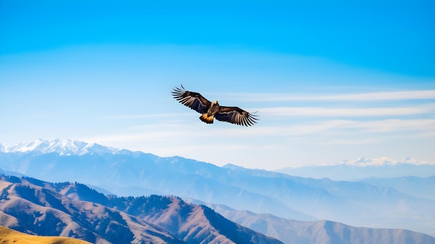 Ptak lecący nad górami