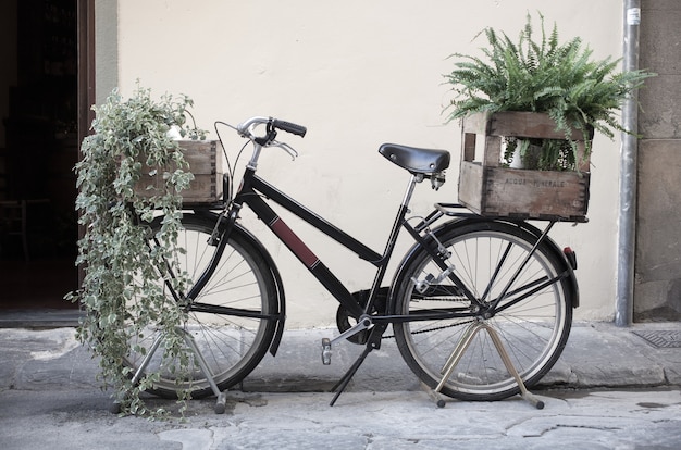 Pudełka z roślinami na Bycicle