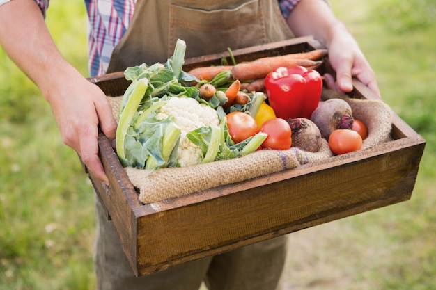 Pudełko Gospodarstwa Rolnika Veg