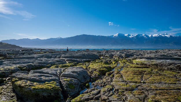 Punakaiki Pancake Rock W Nowej Zelandii