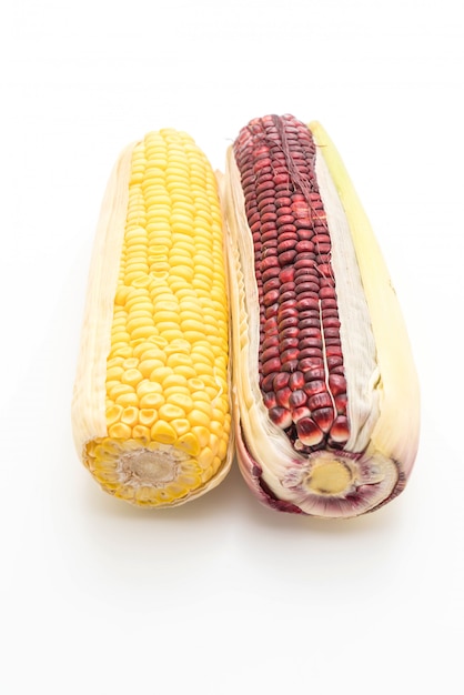 Purpurowa kukurydza lub czarna kukurydza i normalna kukurydza