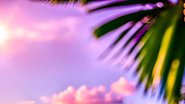 Purpurowe niebo z palmą i fioletowe niebo z chmurami