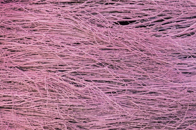 Zdjęcie purpurowe tło cienkie suche gałązki