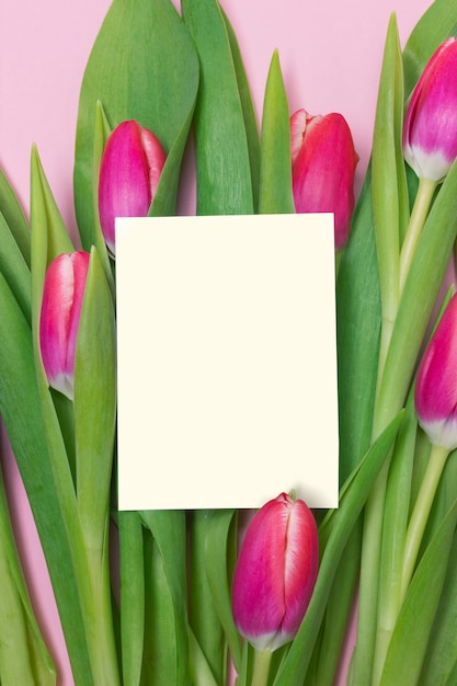 Purpurowy tulipanowy bukiet i pusty kartka z pozdrowieniami na różowym tle dla matka dnia