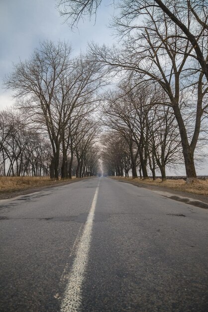 Pusta autostrada z drzewami po bokach