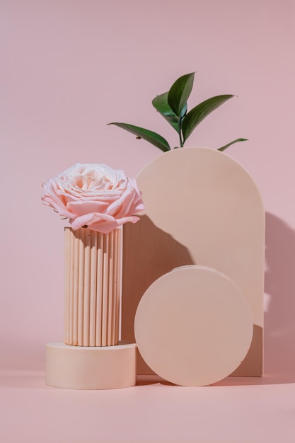 Pusta beżowa kompozycja na podium i różowe róże na różowym tle Minimalny szablon kosmetyczny Okrągła prezentacja dla marketingu produktów Abstrakcyjny wyświetlacz lub scena Koncepcja spa i urody Martwa natura