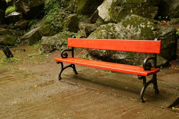 Pusta czerwona drewniana ławka w parku w lekkim deszczu