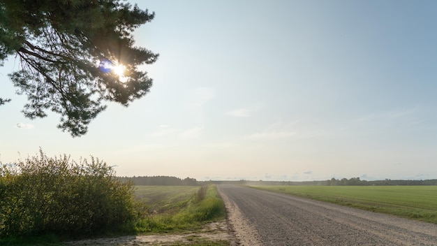 Pusta droga gruntowa i skrzyżowanie w pobliżu lasu Silny wiatr wieje kurz i piasek przez opuszczone pole Światło słoneczne przebija się przez wierzchołki drzew