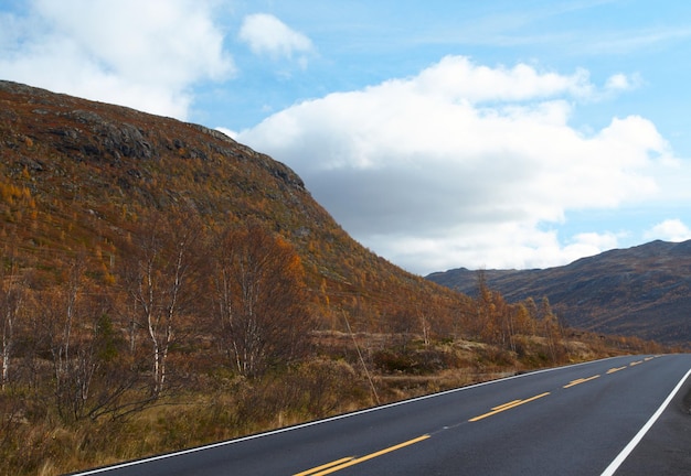Pusta droga w norweskich górach