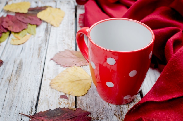 Pusta filiżanka do herbaty, suche czerwone liście na jesienny dzień