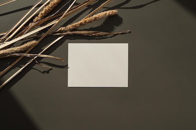 Zdjęcie pusta kartka papieru z makietą kopia przestrzeń sucha trawa pampasowa miękkie cienie słoneczne na ciemnozielonym tle estetyczny płaski widok z góry minimalny szablon marki biznesowej