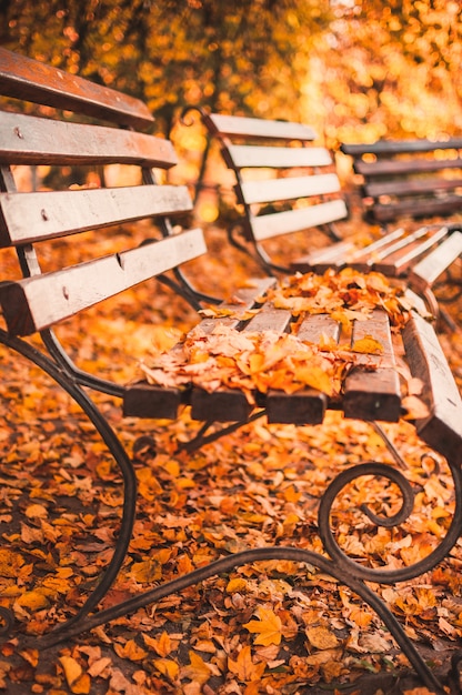 Pusta ławka w jesiennym parku jest usiana czerwonymi i żółtymi suchymi liśćmi. Koncepcja złotej jesieni. relaksujące miejsce do refleksji i kontemplacji.