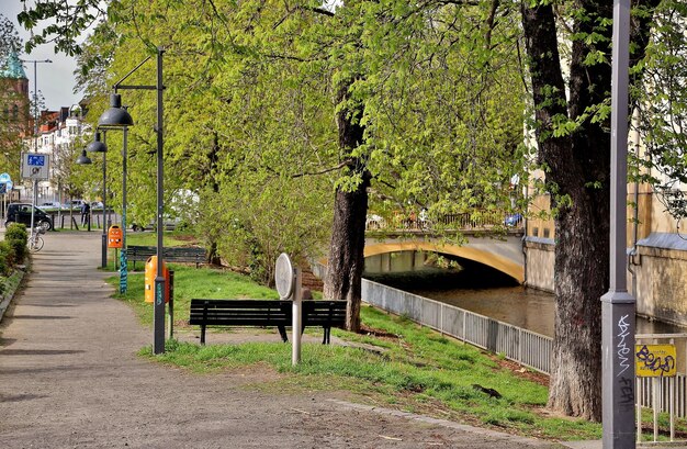 Zdjęcie pusta ławka w parku w starym mieście spandau