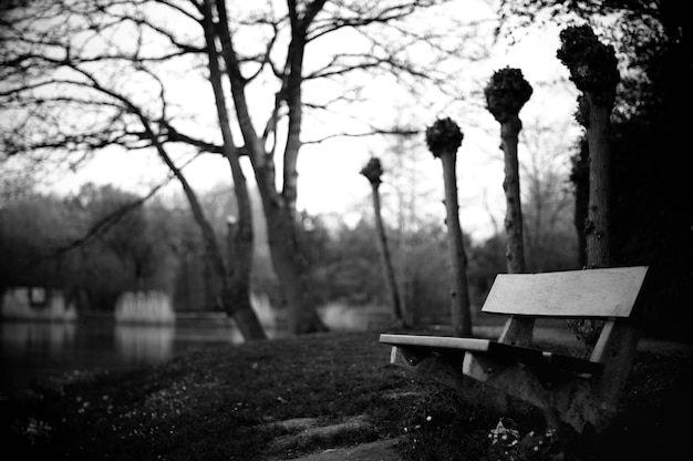 Zdjęcie pusta ławka w parku.