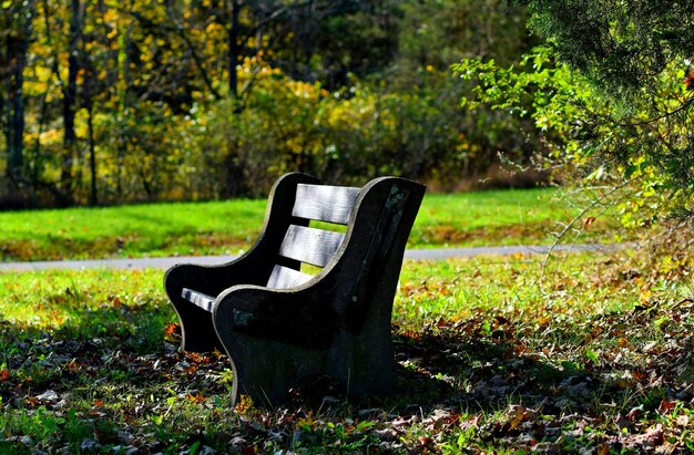 Zdjęcie pusta ławka w parku.