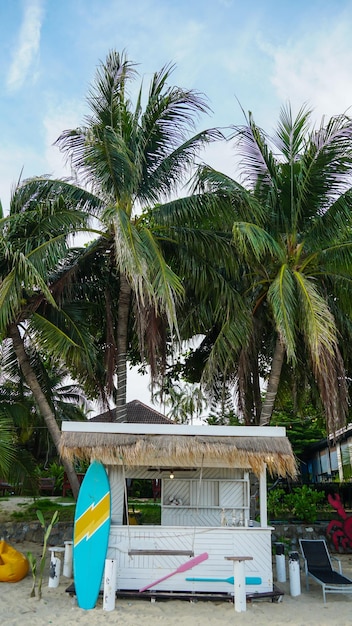 Pusta plaża na tle czystego, błękitnego nieba Leżaki plażowe obok siebie na piaszczystym oceanie z widokiem