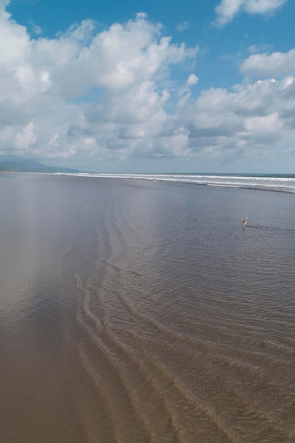 Pusta plaża w Matapalo Kostaryka