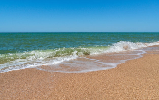 Pusta plaża ze złotym piaskiem i lazurową wodą